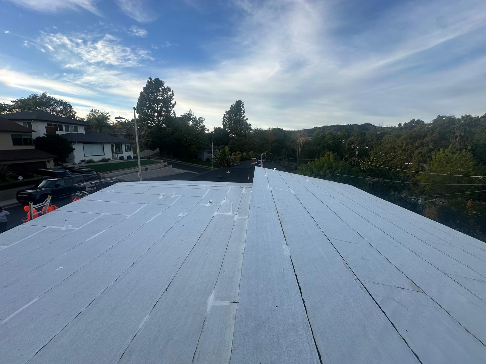 Roofing Project