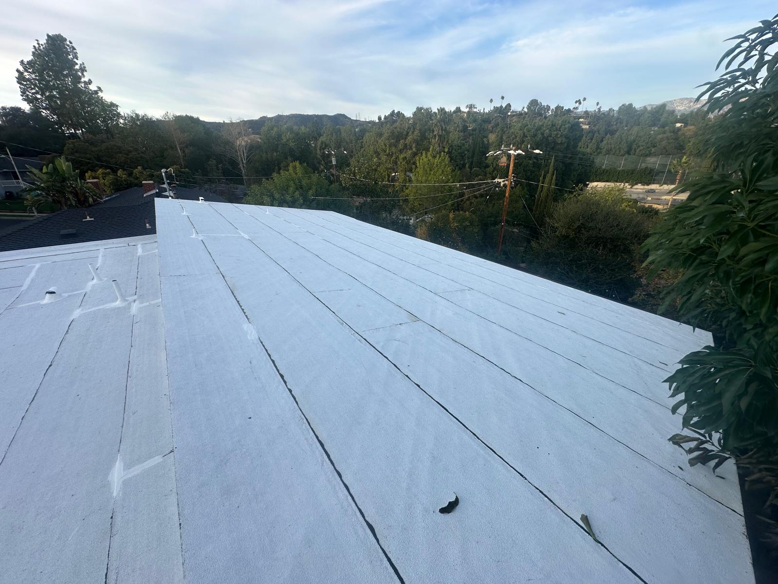 Roofing Project