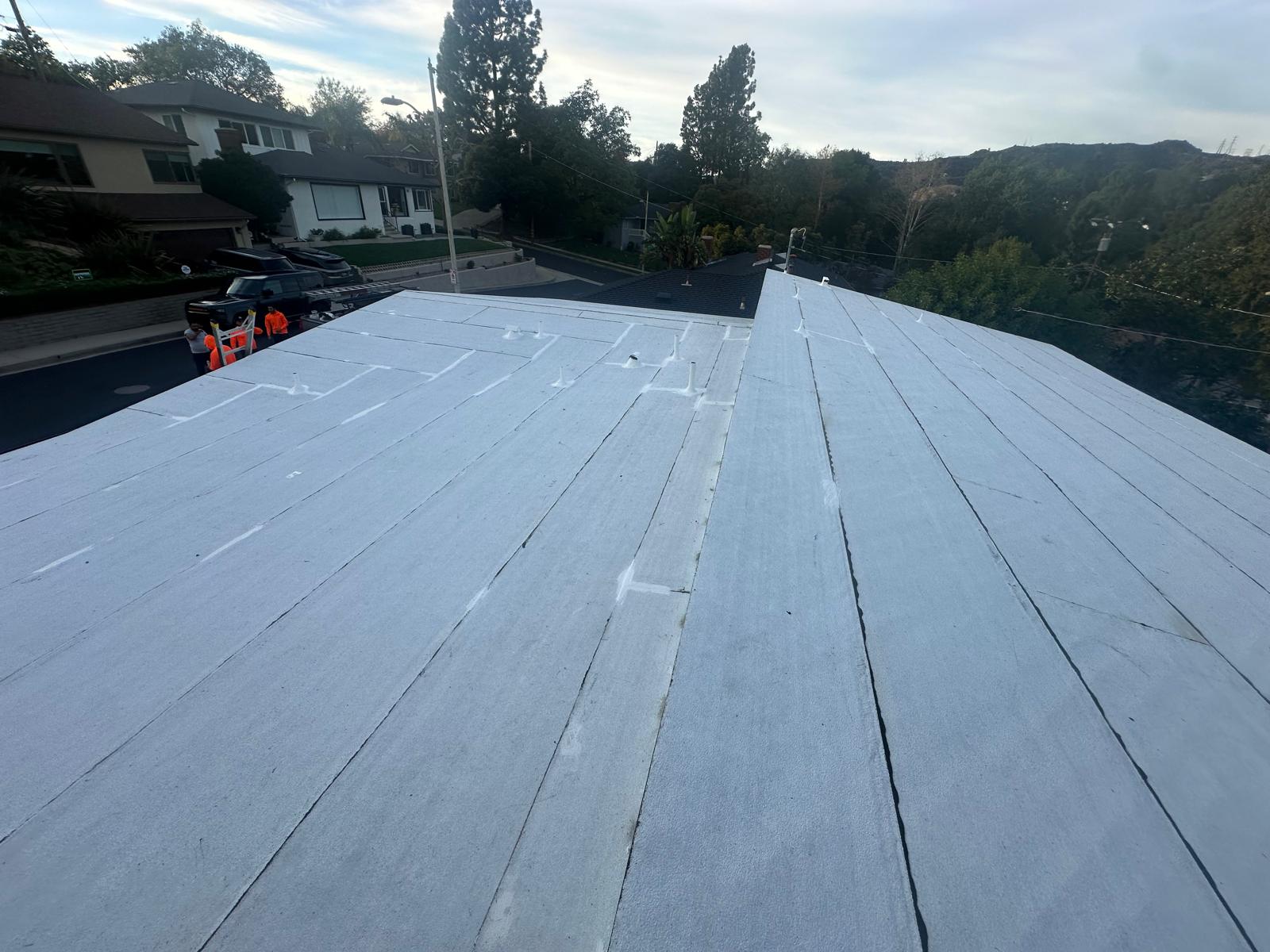 Roofing Project