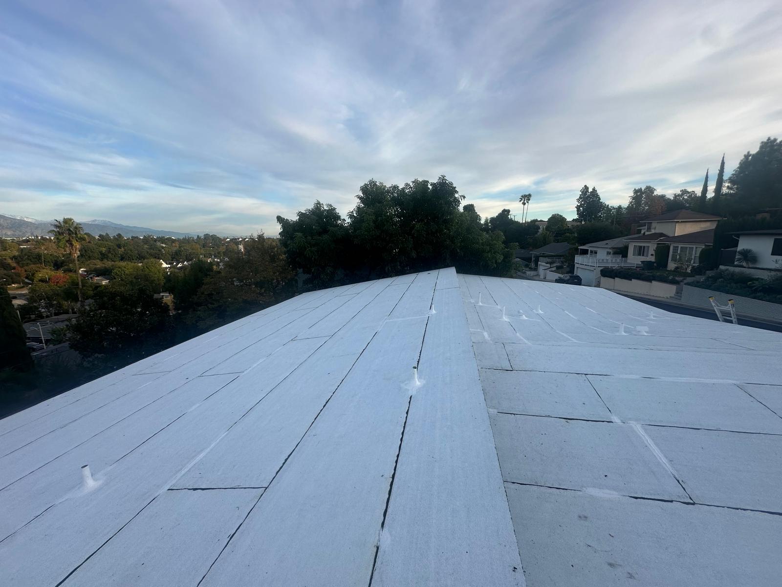 Roofing Project