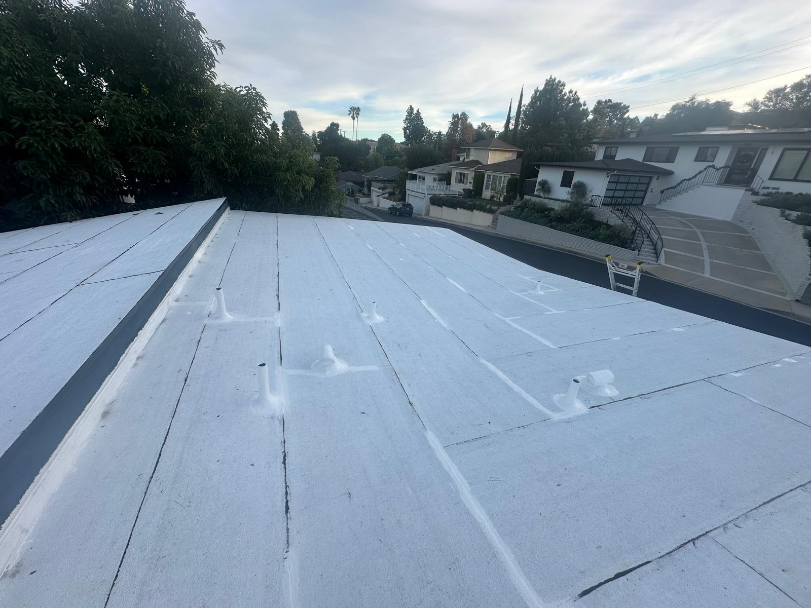 Roofing Project