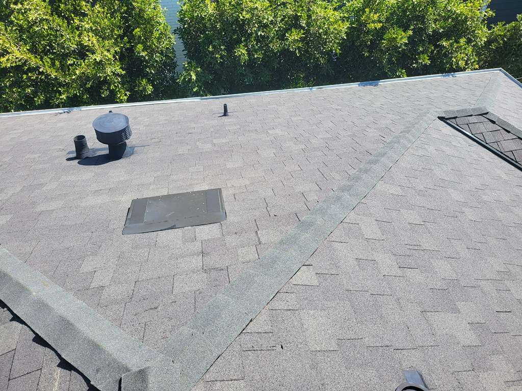 Roofing Project